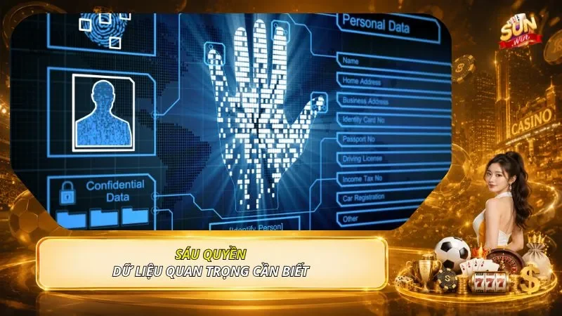 Sáu quyền dữ liệu quan trọng cần biết 